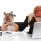 Normas relevantes – Empresarial