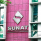 Sunat adjudica bienes valorizados en US$ 9 millones a diversas entidades del país