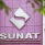 Sunat incautó más de 436.6 toneladas de productos mineros en Nasca y Lucanas